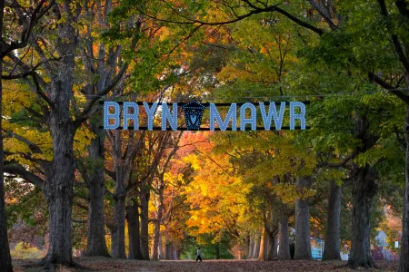 senior-row-golden-hour