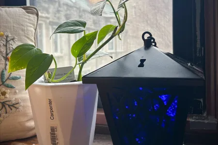 Plant Lending Library 