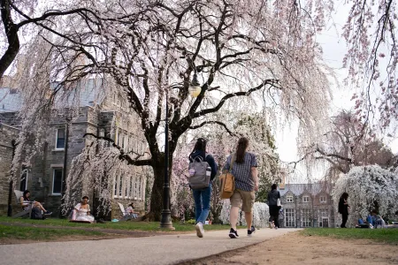 BMC Students and Cherry Blossoms