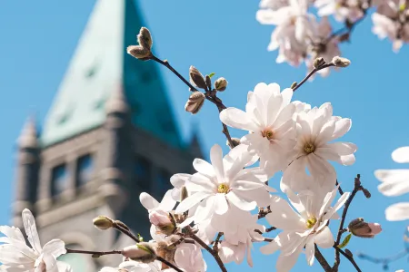 Event Image Placeholder - Default Image 13