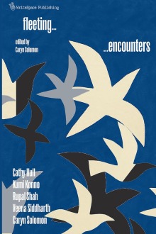 Fleeting Encounters cover