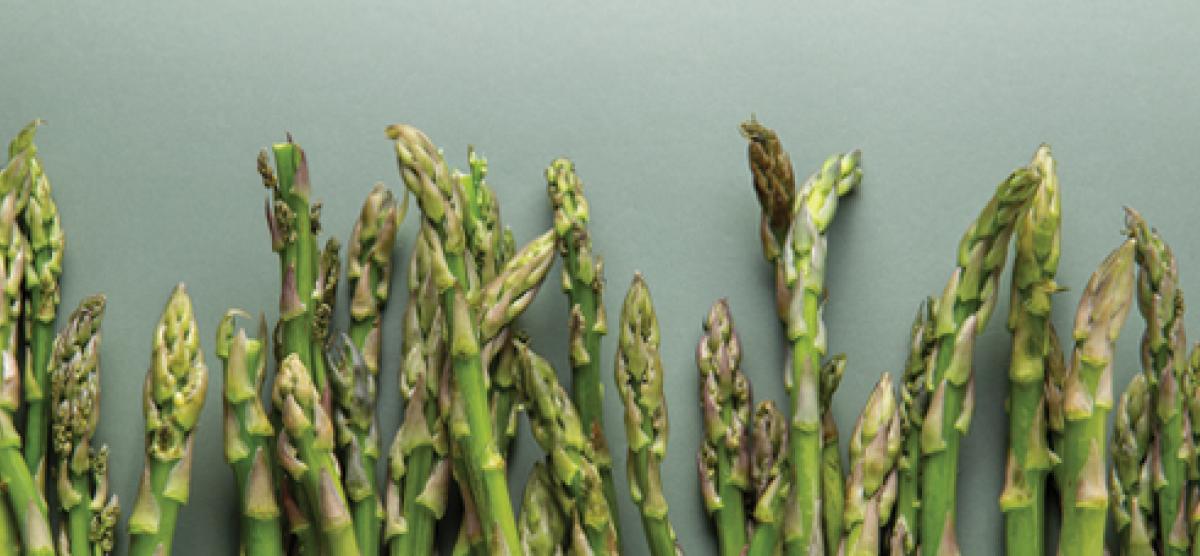 Asparagus Header