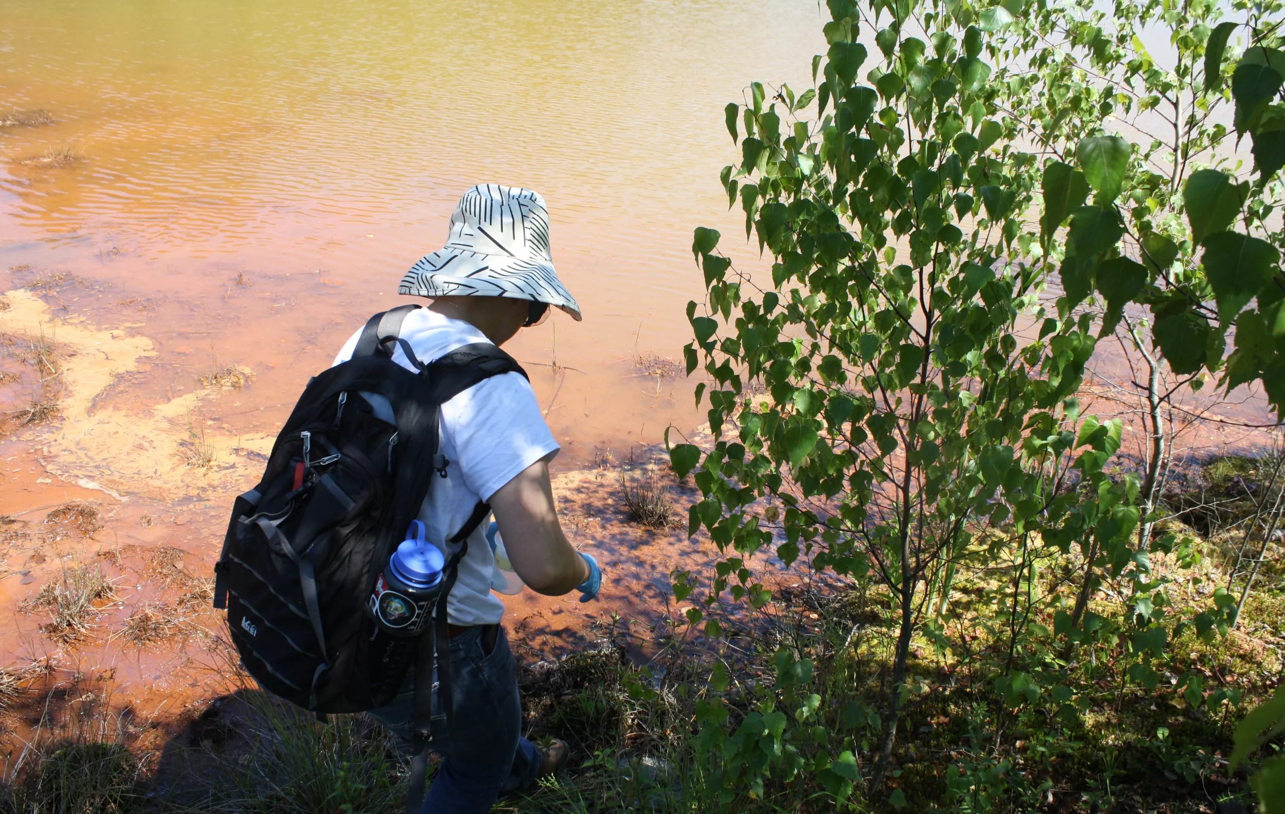 Fellows at acid mine drainage site