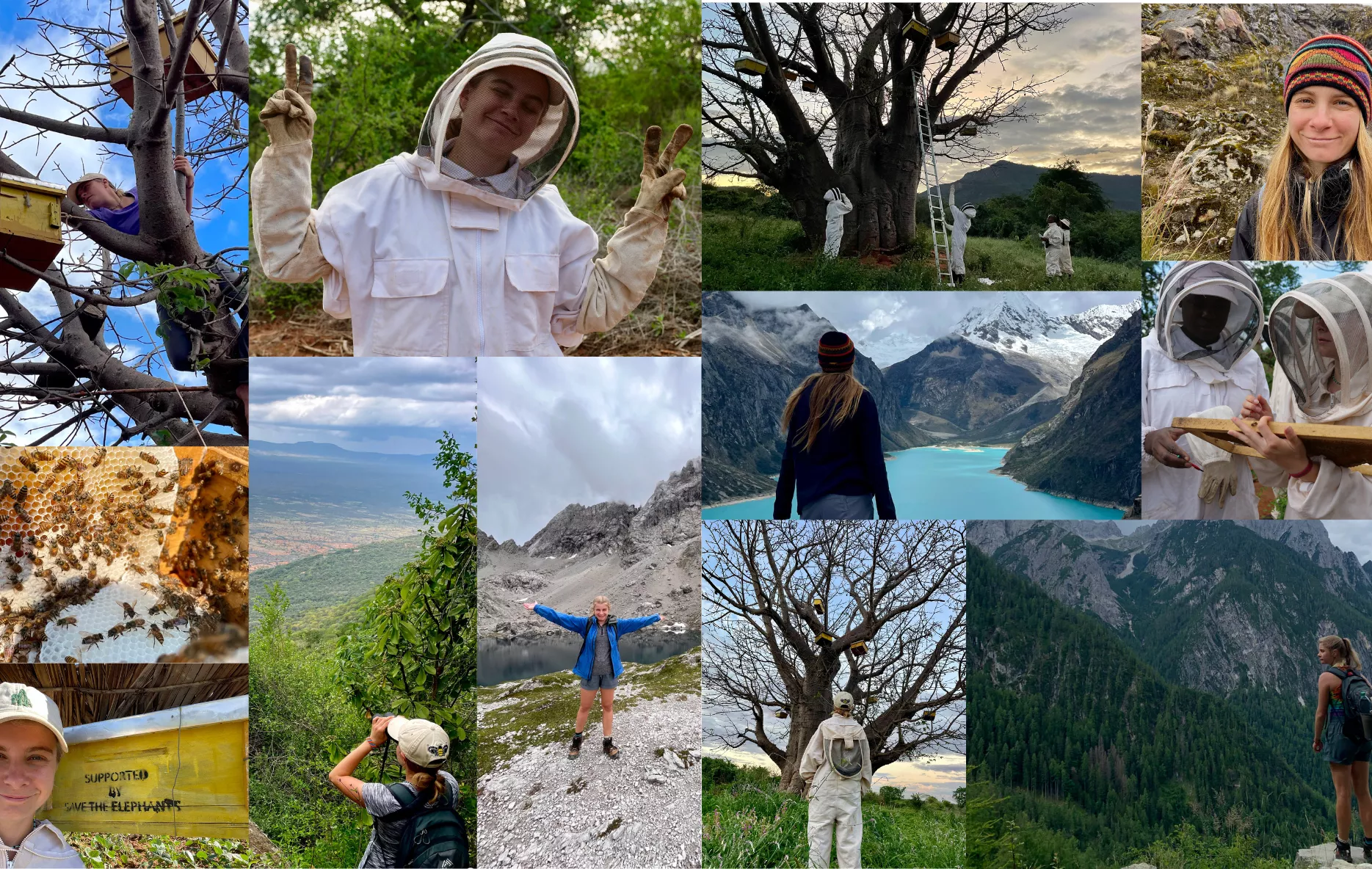 Kass traveling the world for her Watson