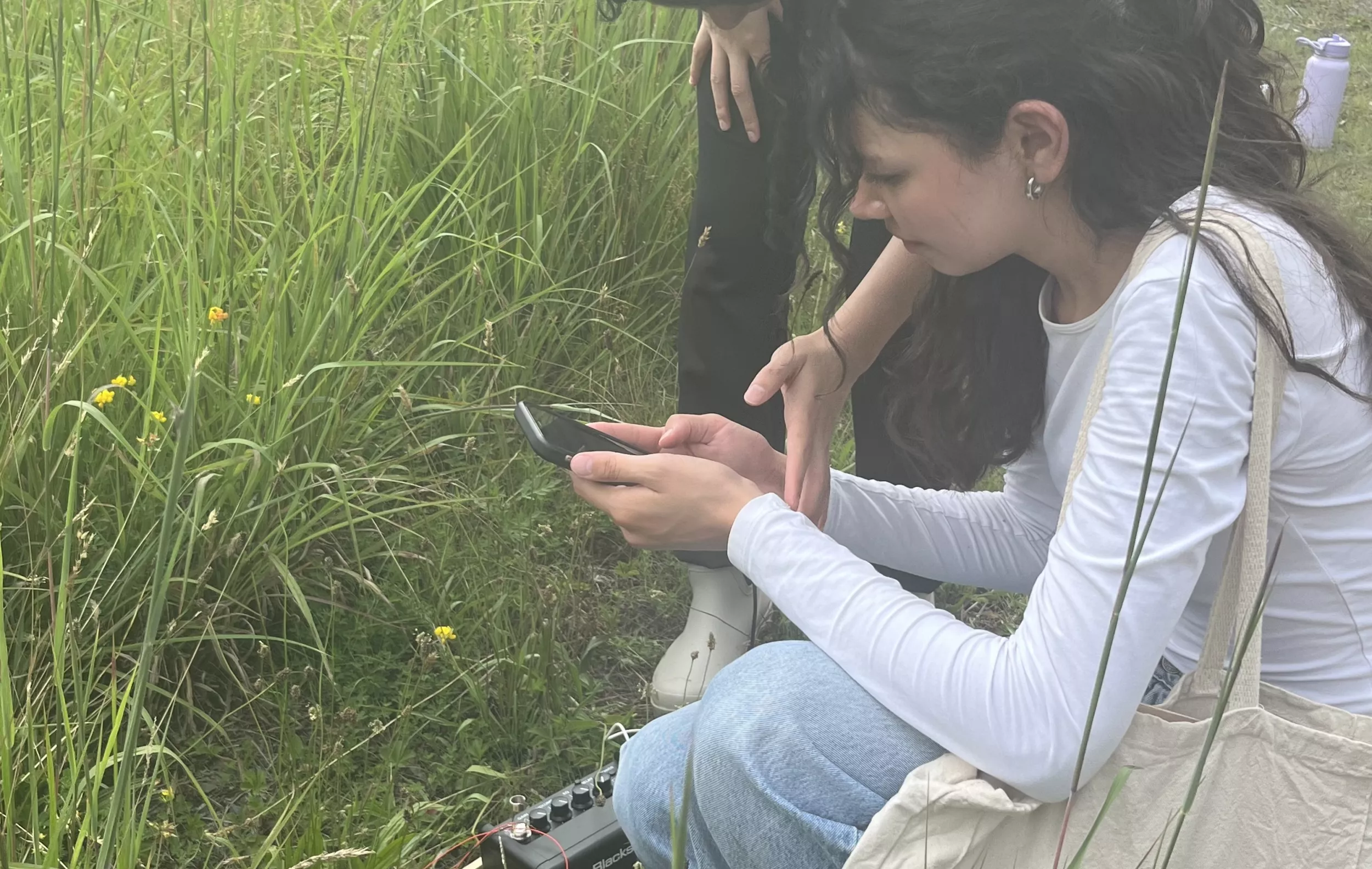 students taking bugscapes