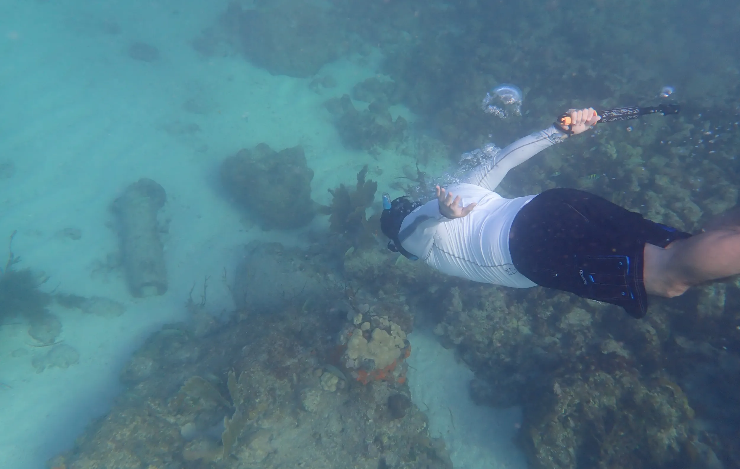 Pedro Marenco snorkeling as part of research opportunities