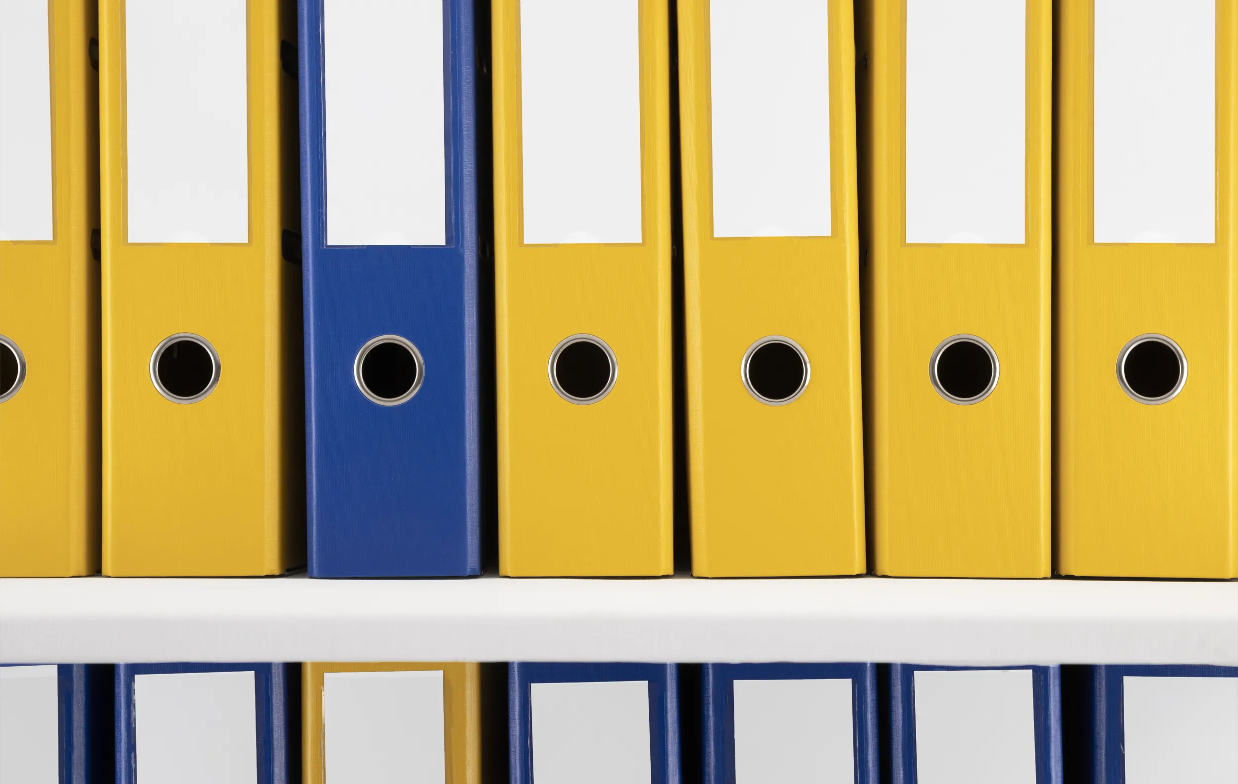 ring-binder-used-stored-documents