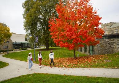 students walking on campus