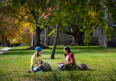 students sitting in grass studying