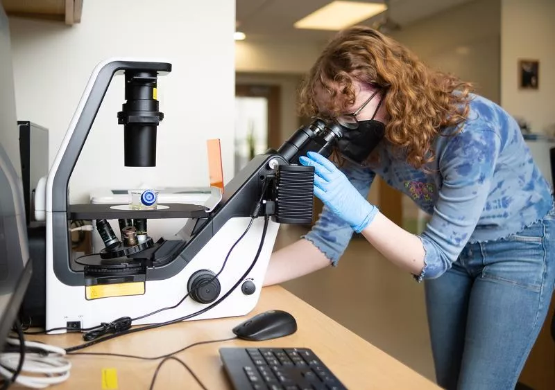 Caelin looks into a microscope