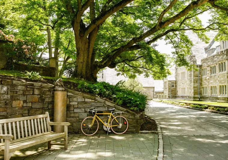 Rhoads exterior with bike, bench, and owl