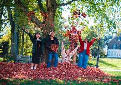 Sustainability - Resource Management - Leaf Composting