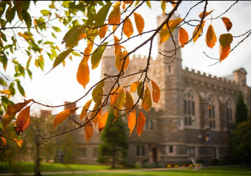 Fall leaves in front of Old Library
