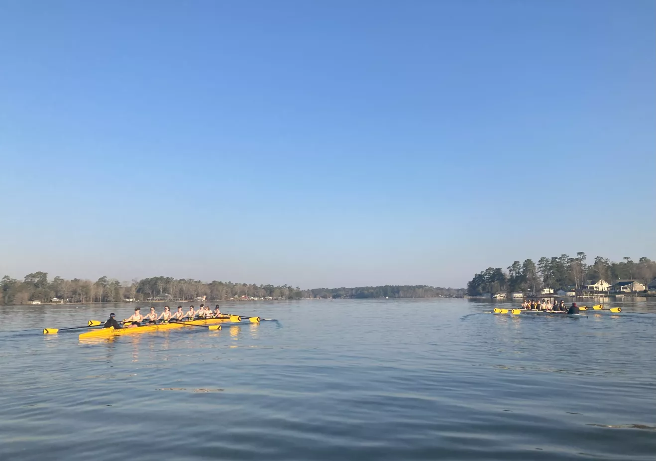 a lake with rowers