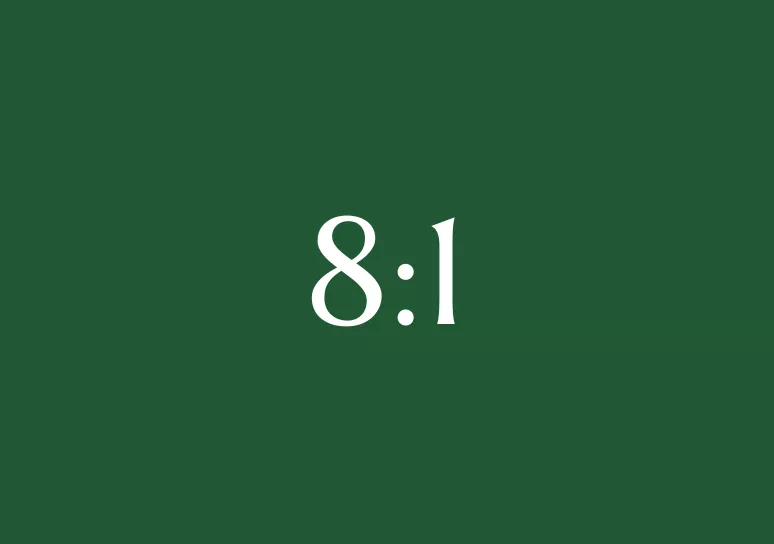 8:1