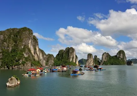 About 2 dozen boats dock in the water, in front of tree-covered cliffs.