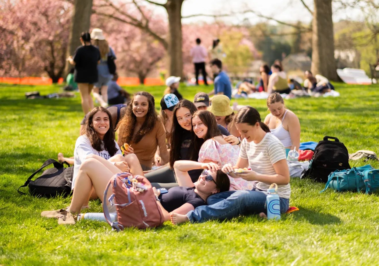 Students on grass 