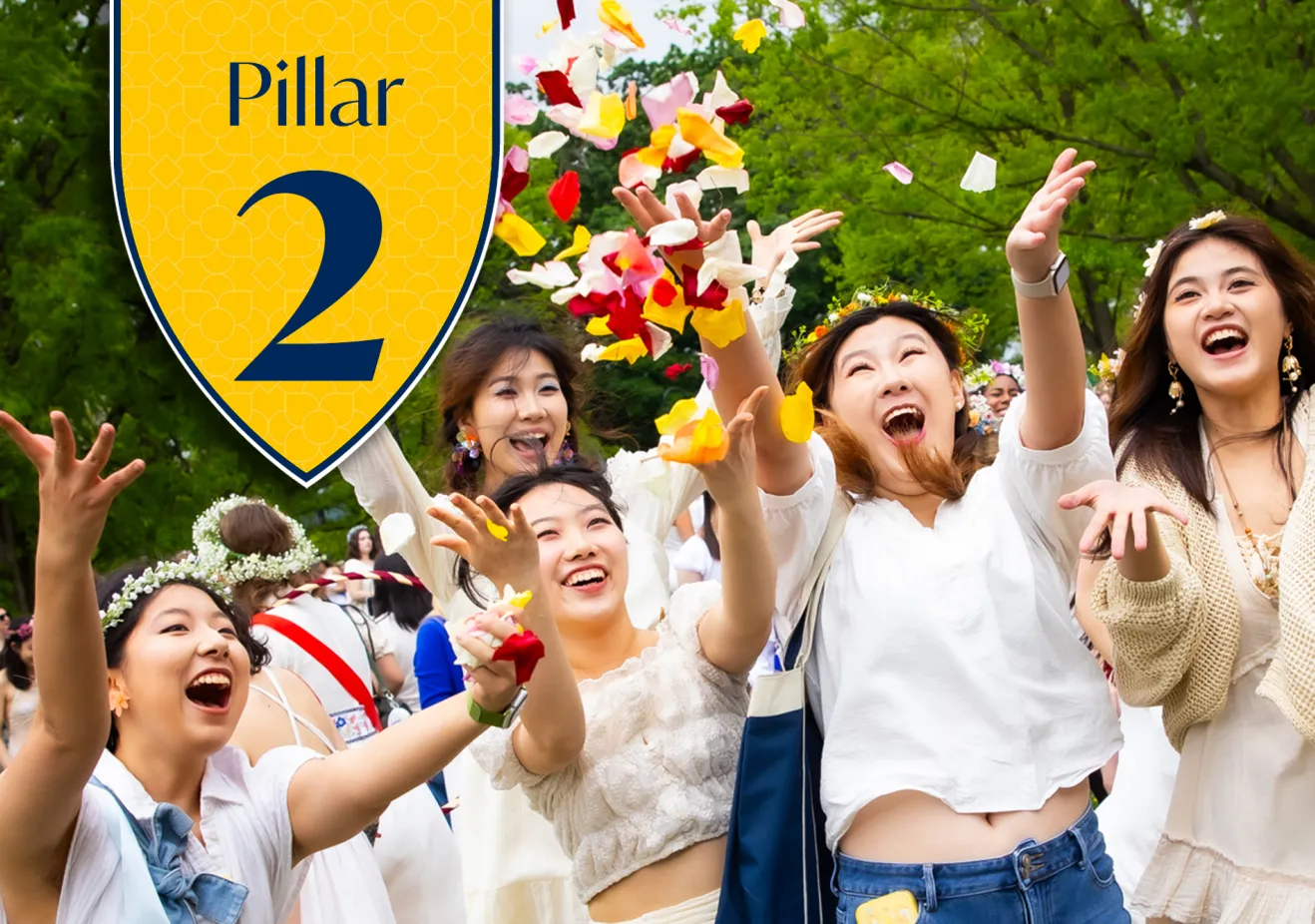 Next Chapter Pillar 2