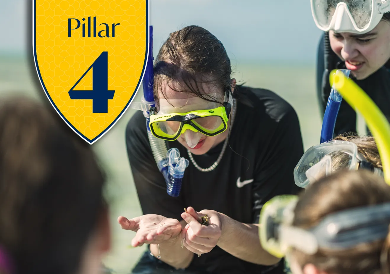 Next Chapter Pillar 4