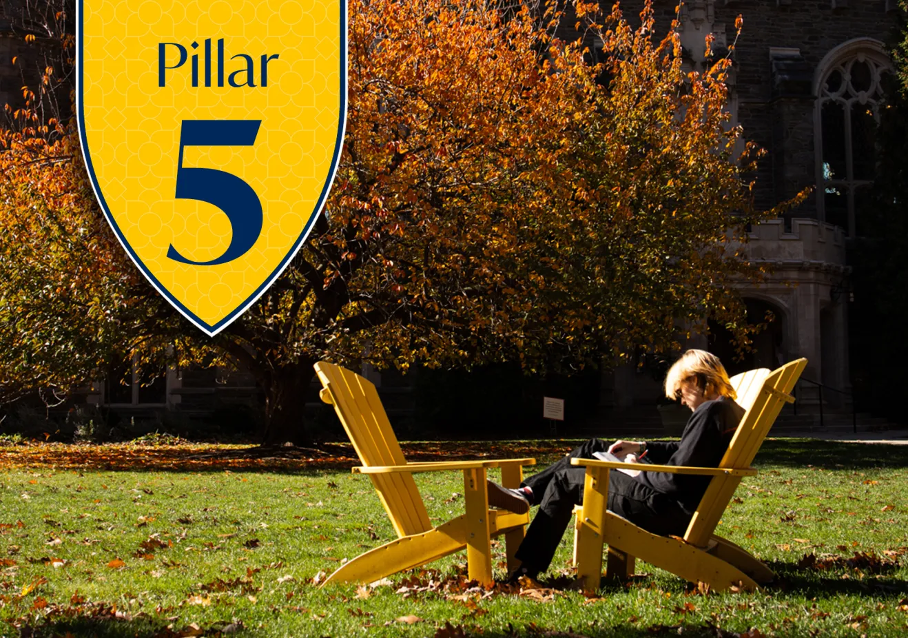 Next Chapter Pillar 5