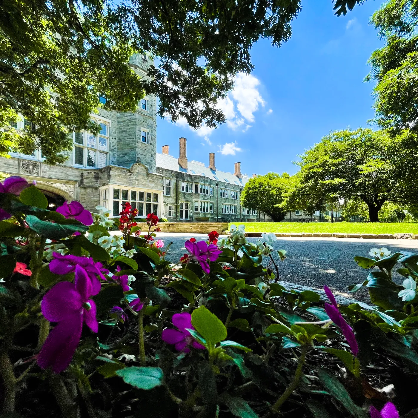 flowers on campus