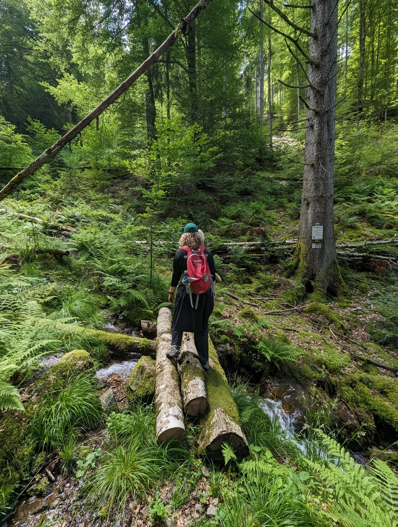 Juliana Vair '26 stands on bridge during summer internship in Germany