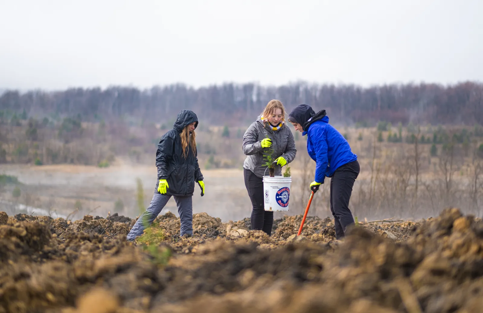 Sustainability - Greening - PEC