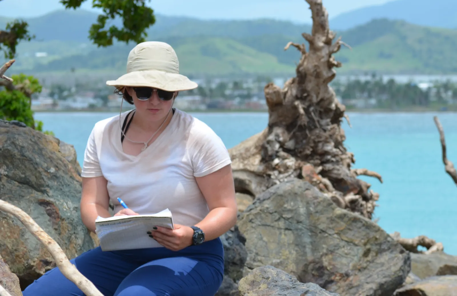 Sustainability - Research