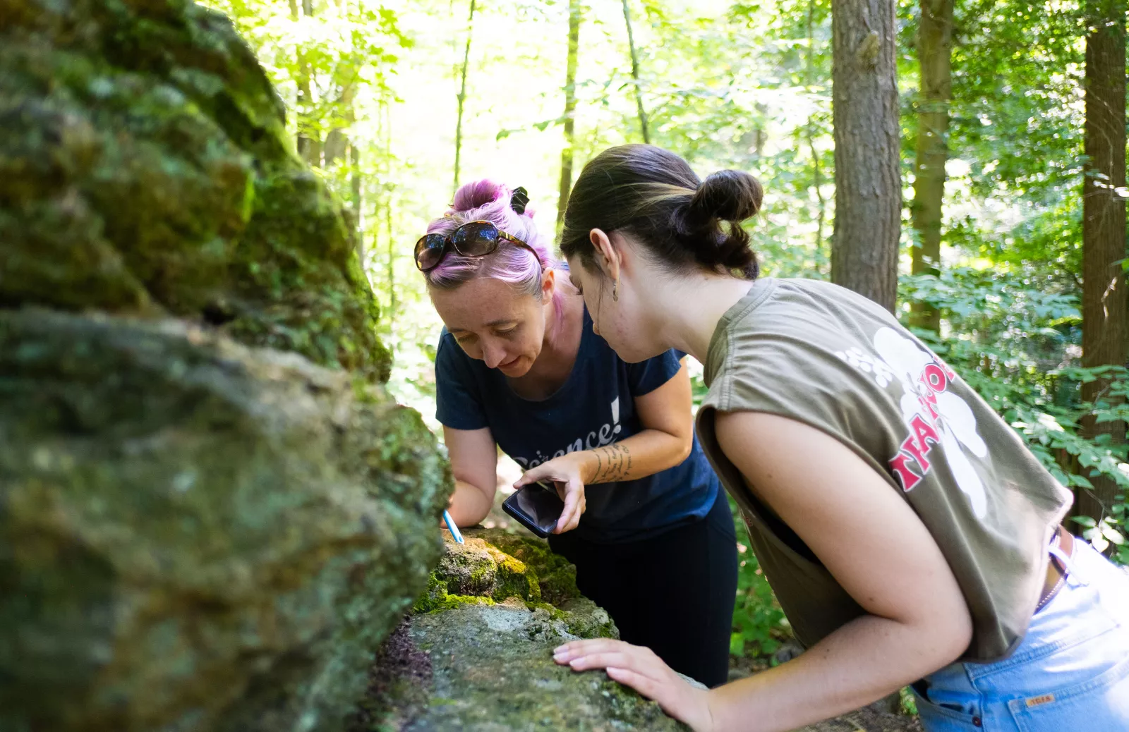 Sustainability - Teaching and Learning - Geology