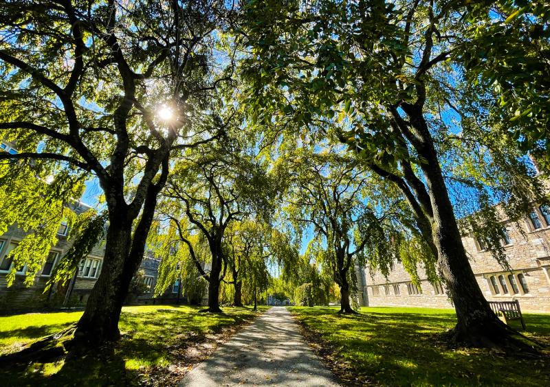 Campus Trees