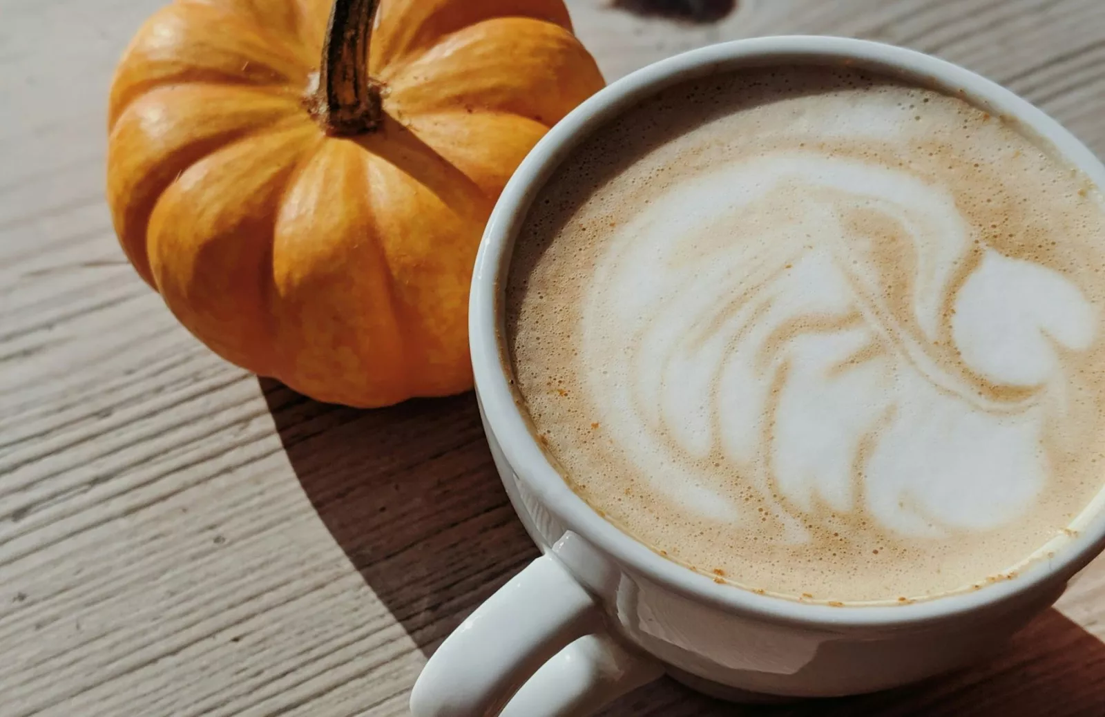 Coffee and pumpkin stock