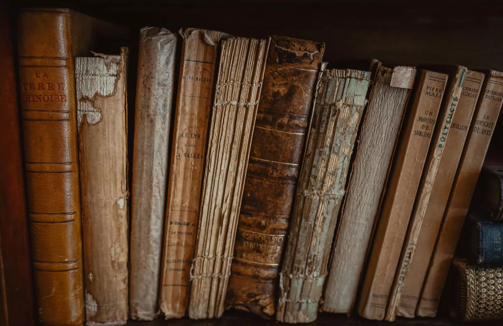 Book collection stock