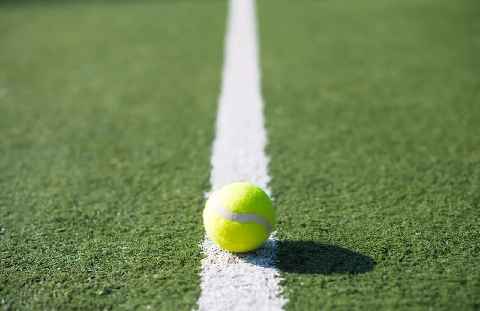 Tennis ball close up