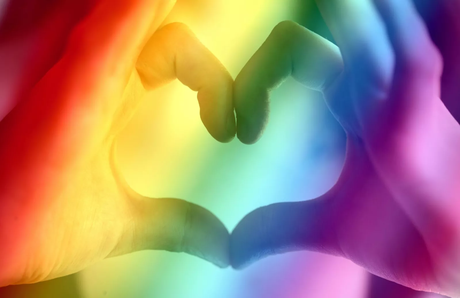 Rainbow lover