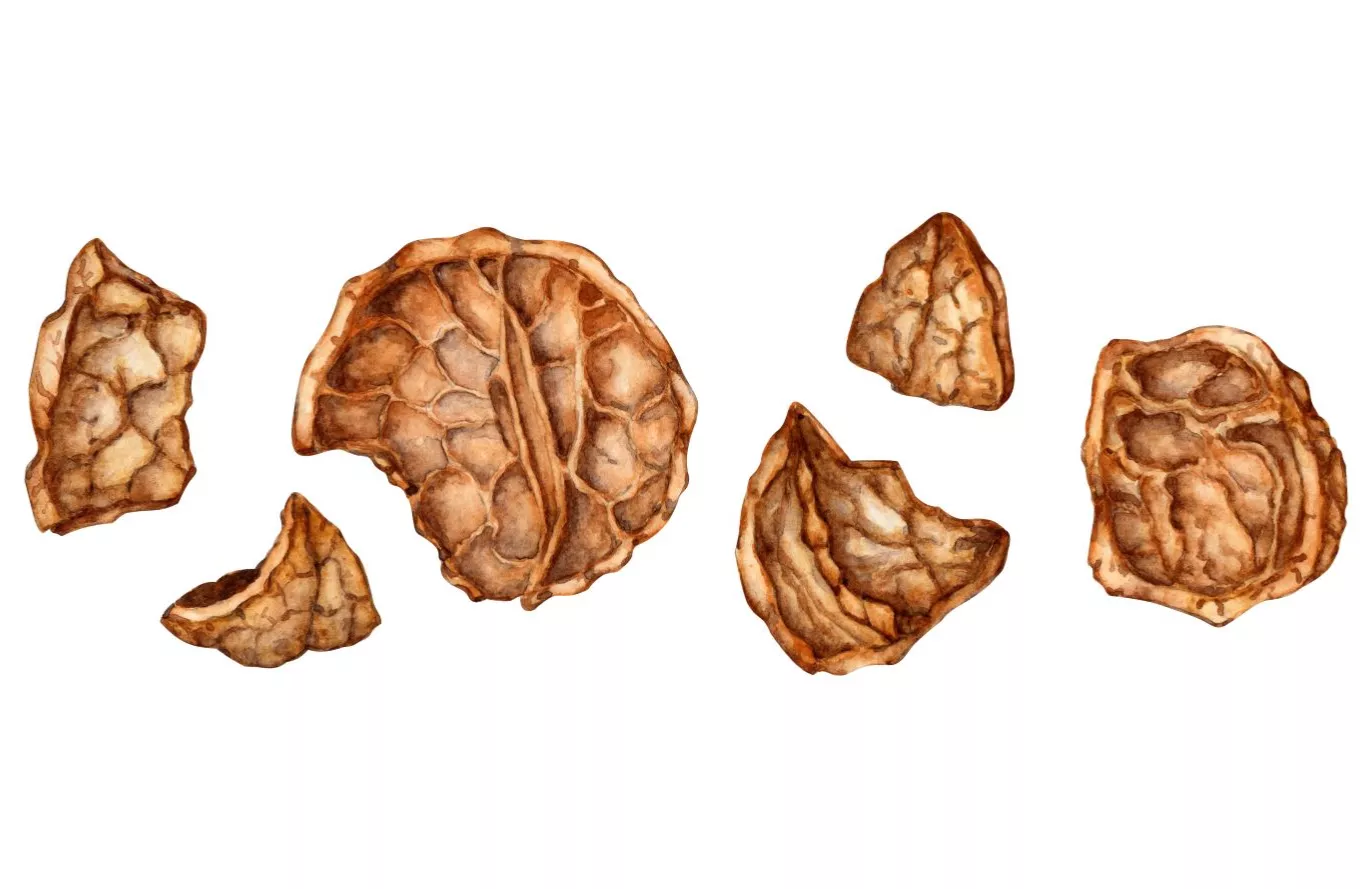 Walnut Ink Tech Tues