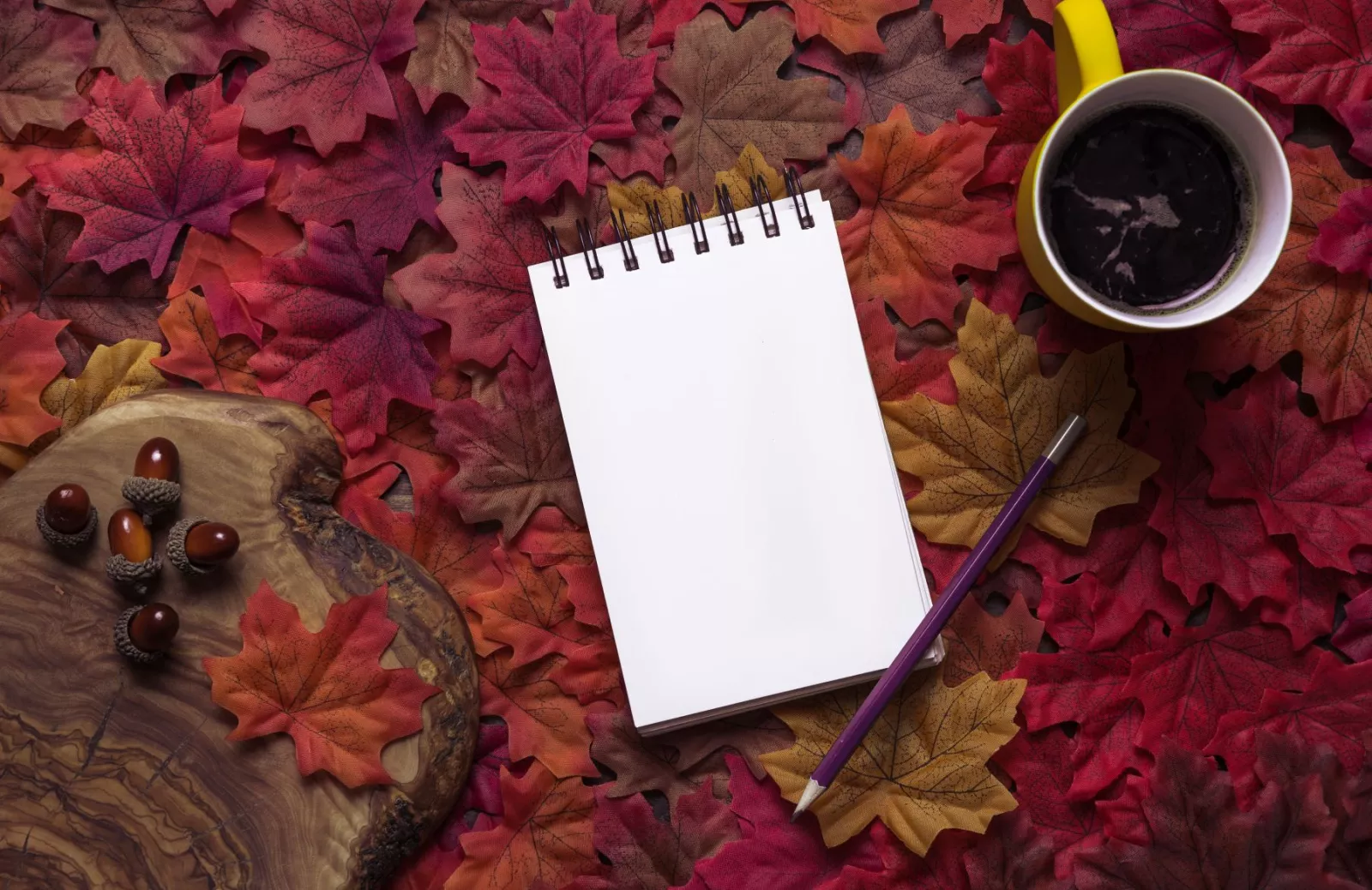 Fall writing