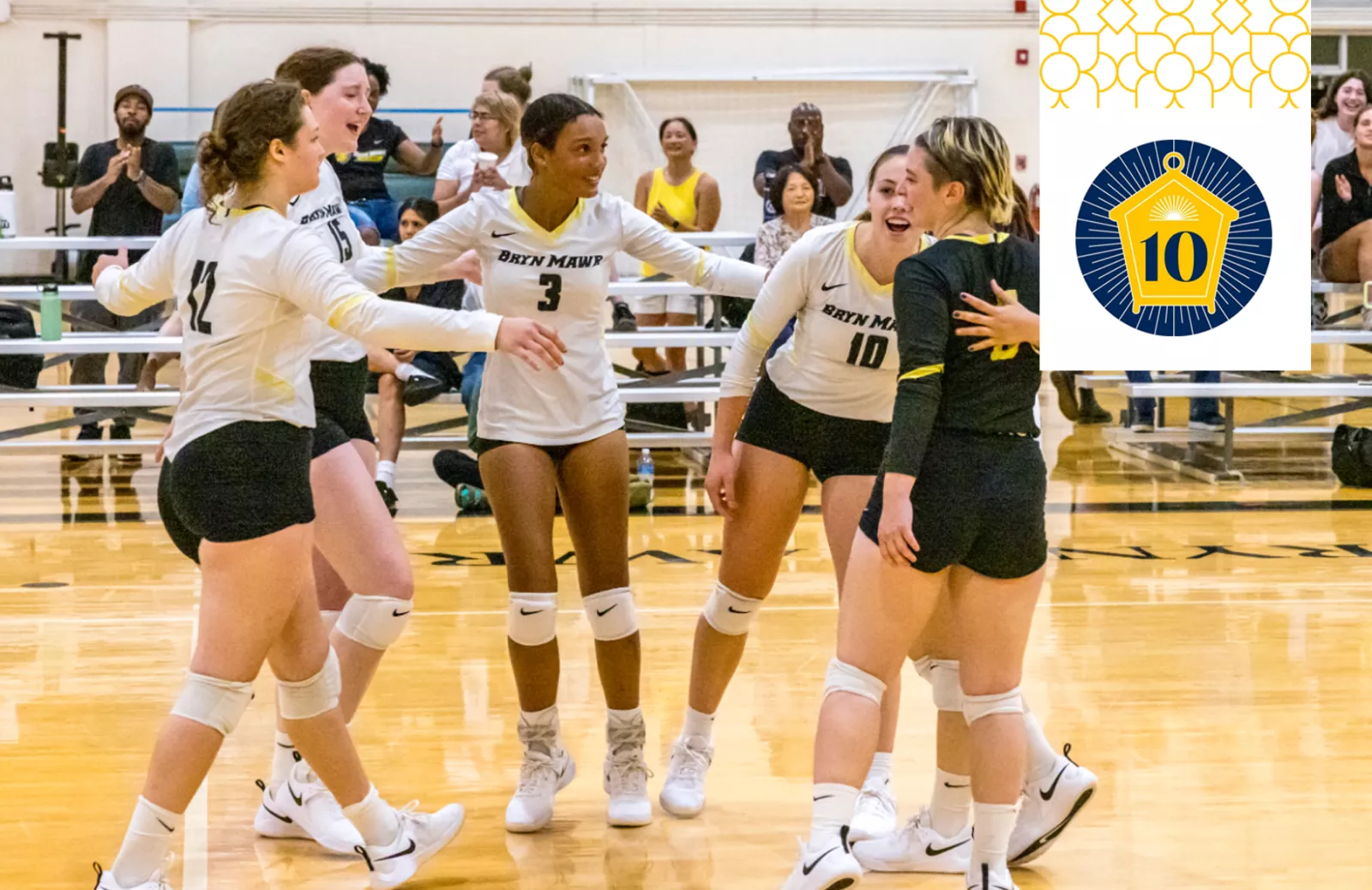 Owls Fest - Volleyball v2