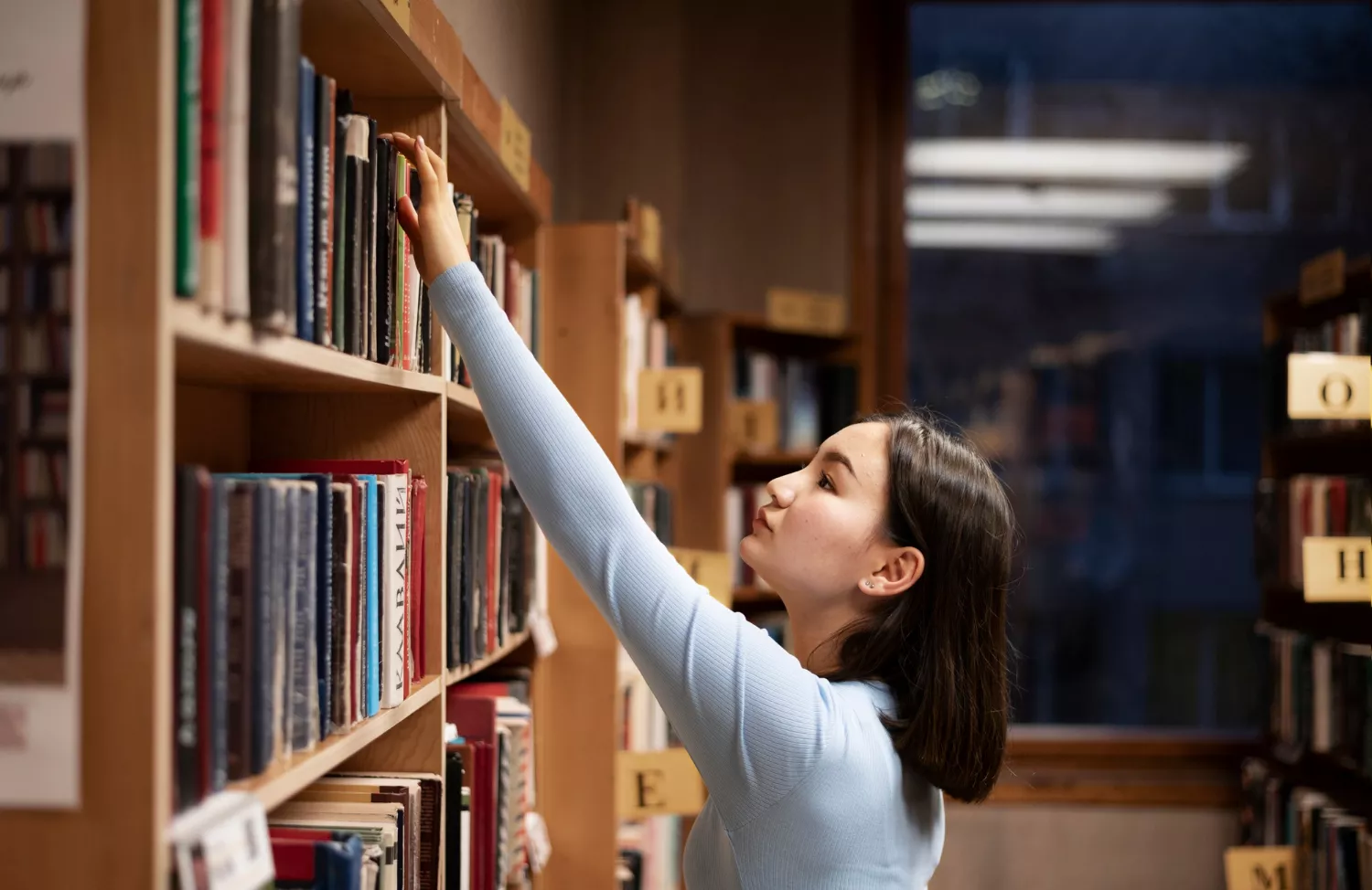 Library Stock