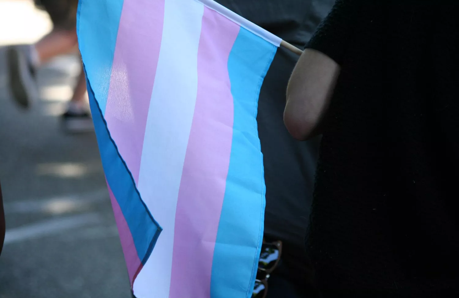 Transpride flag