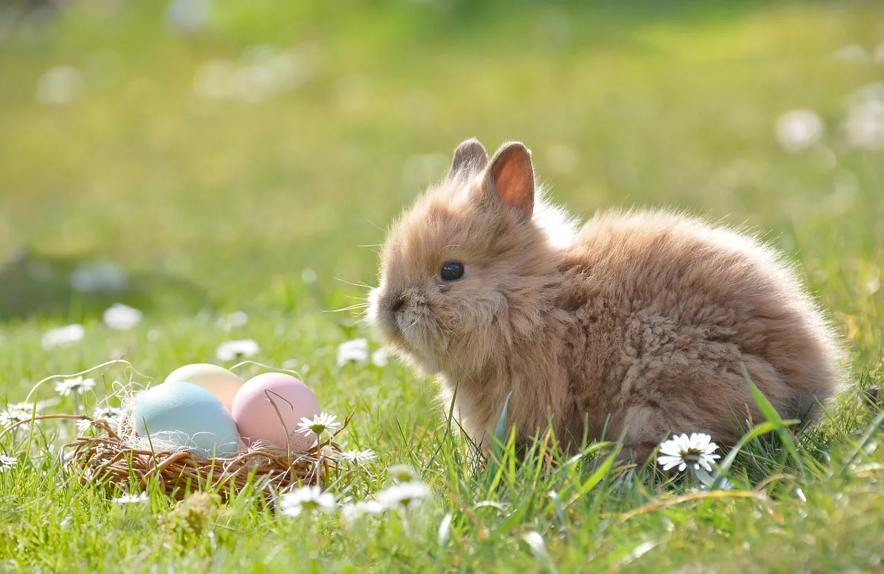 Basket of eggs with a bunny in grass