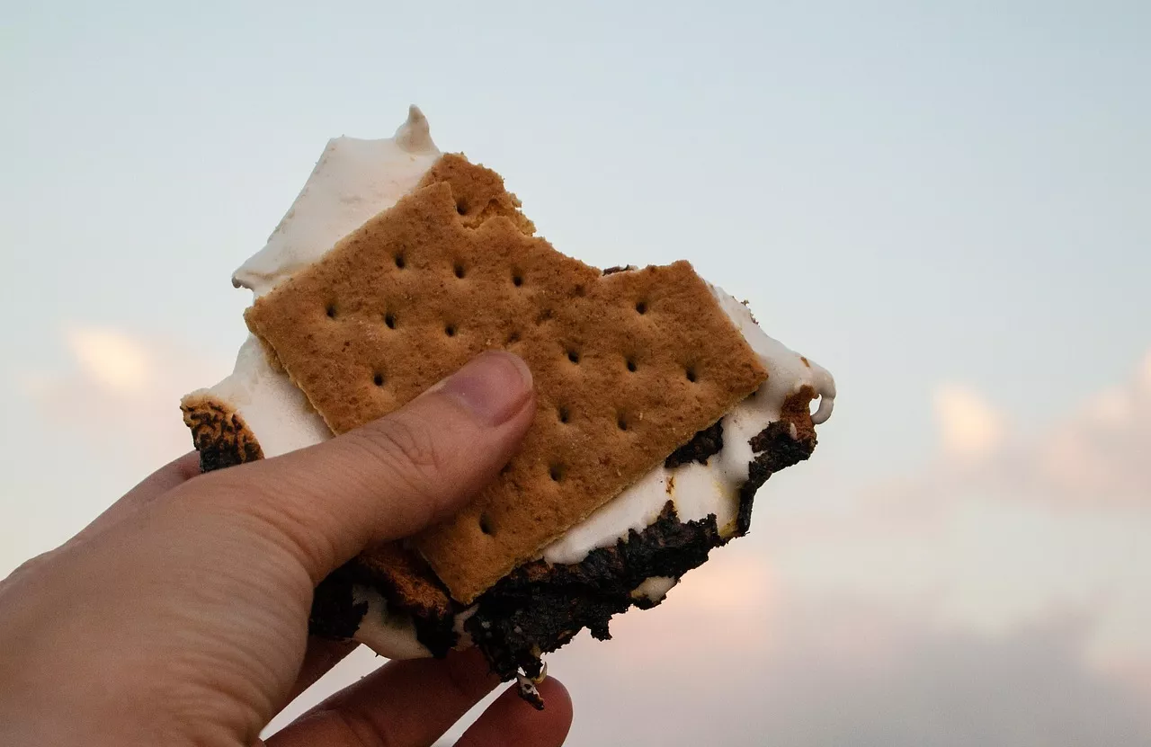Hand holding a s'more
