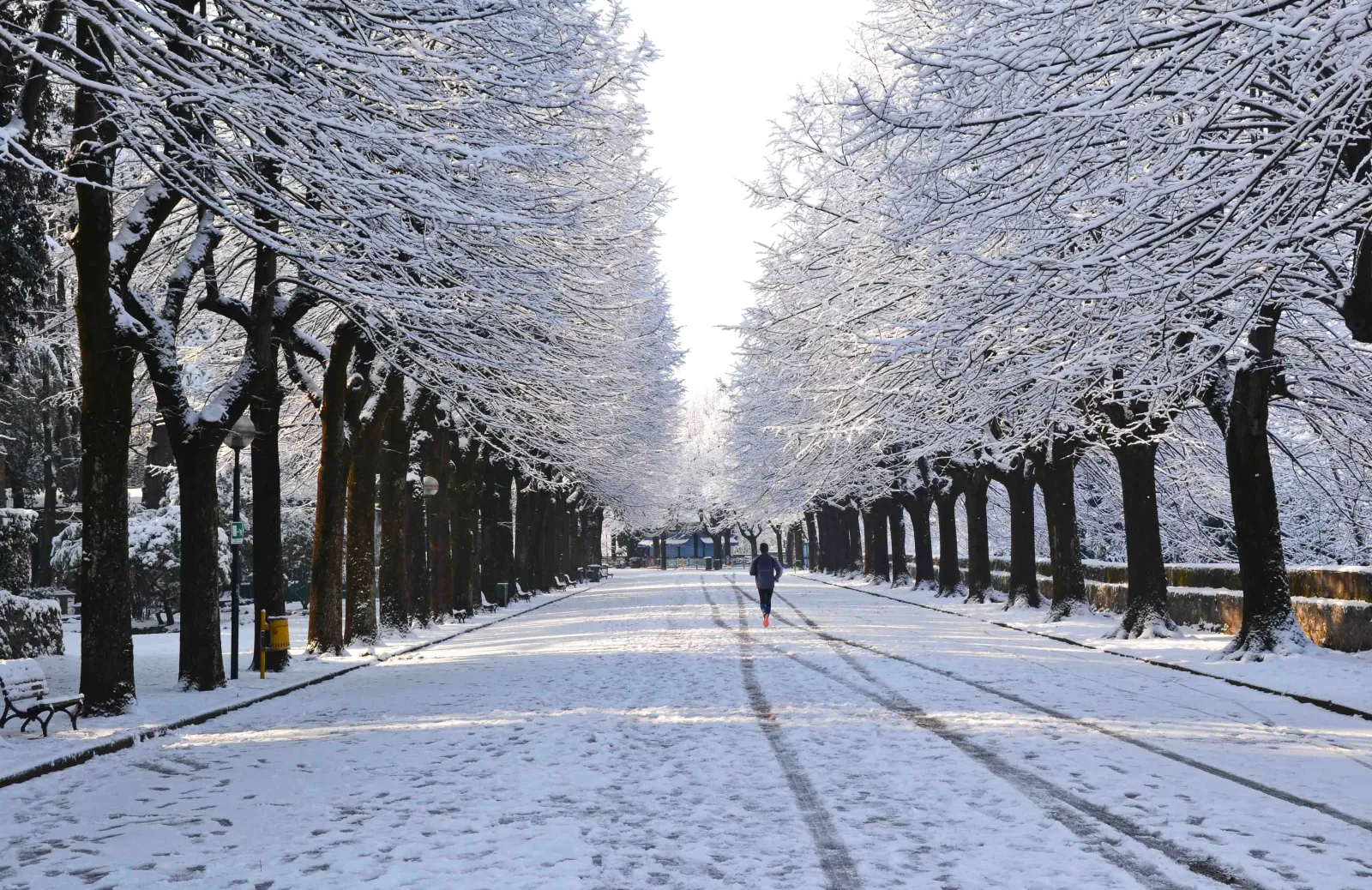 "La passeggiata innevata", by Paolo Carnassale. Photo on public domain