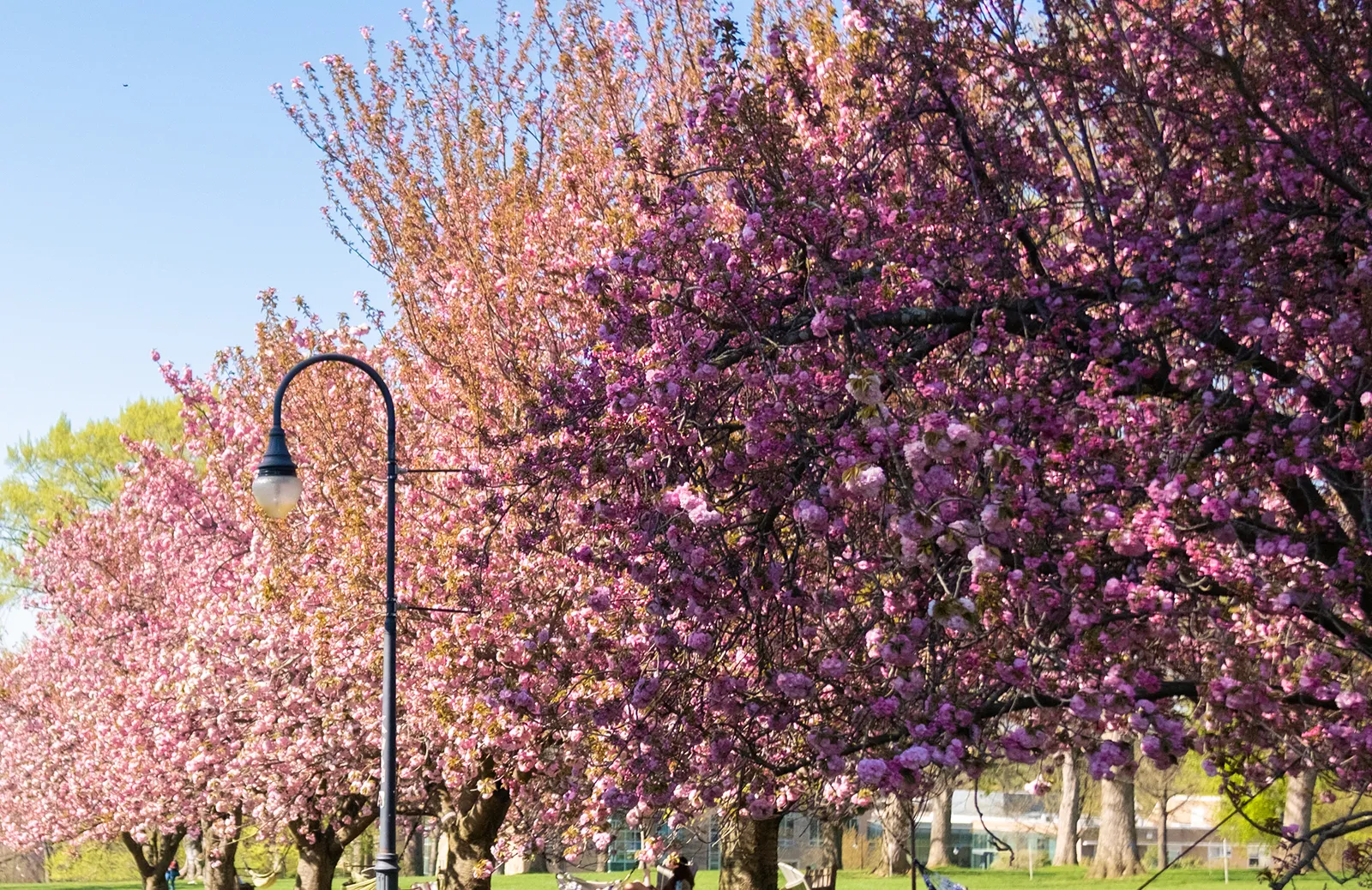 Event Image Placeholder - Default Image 4