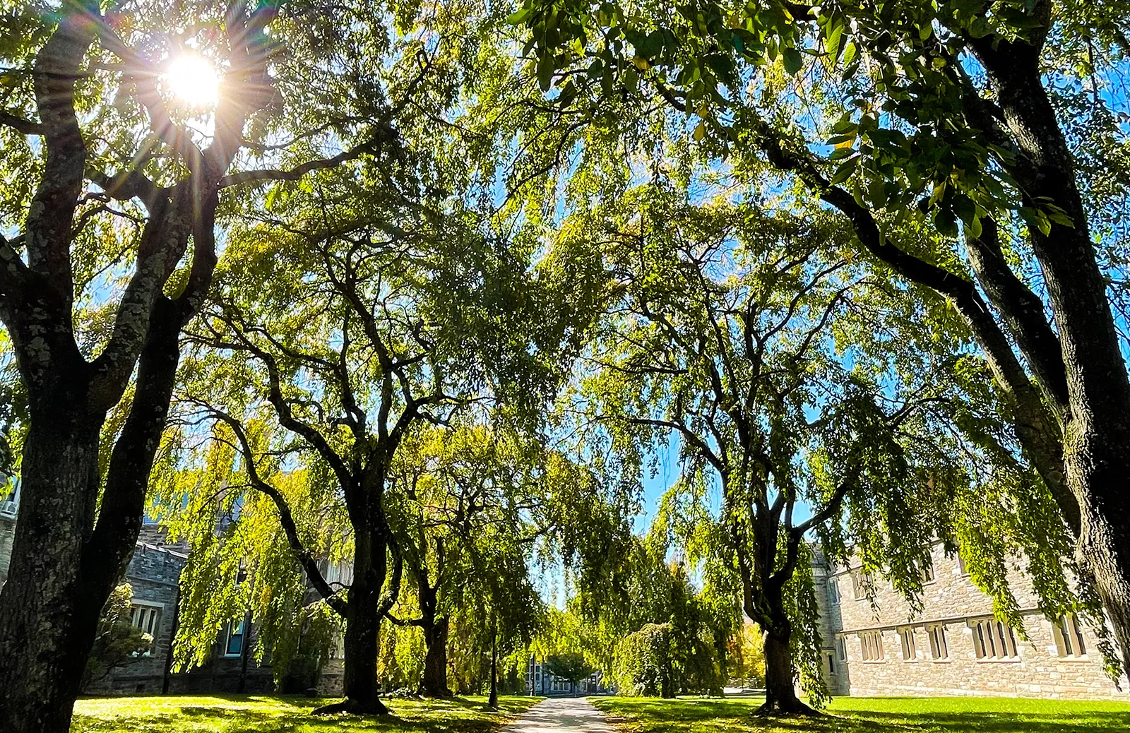 Event Image Placeholder - Default Image 7