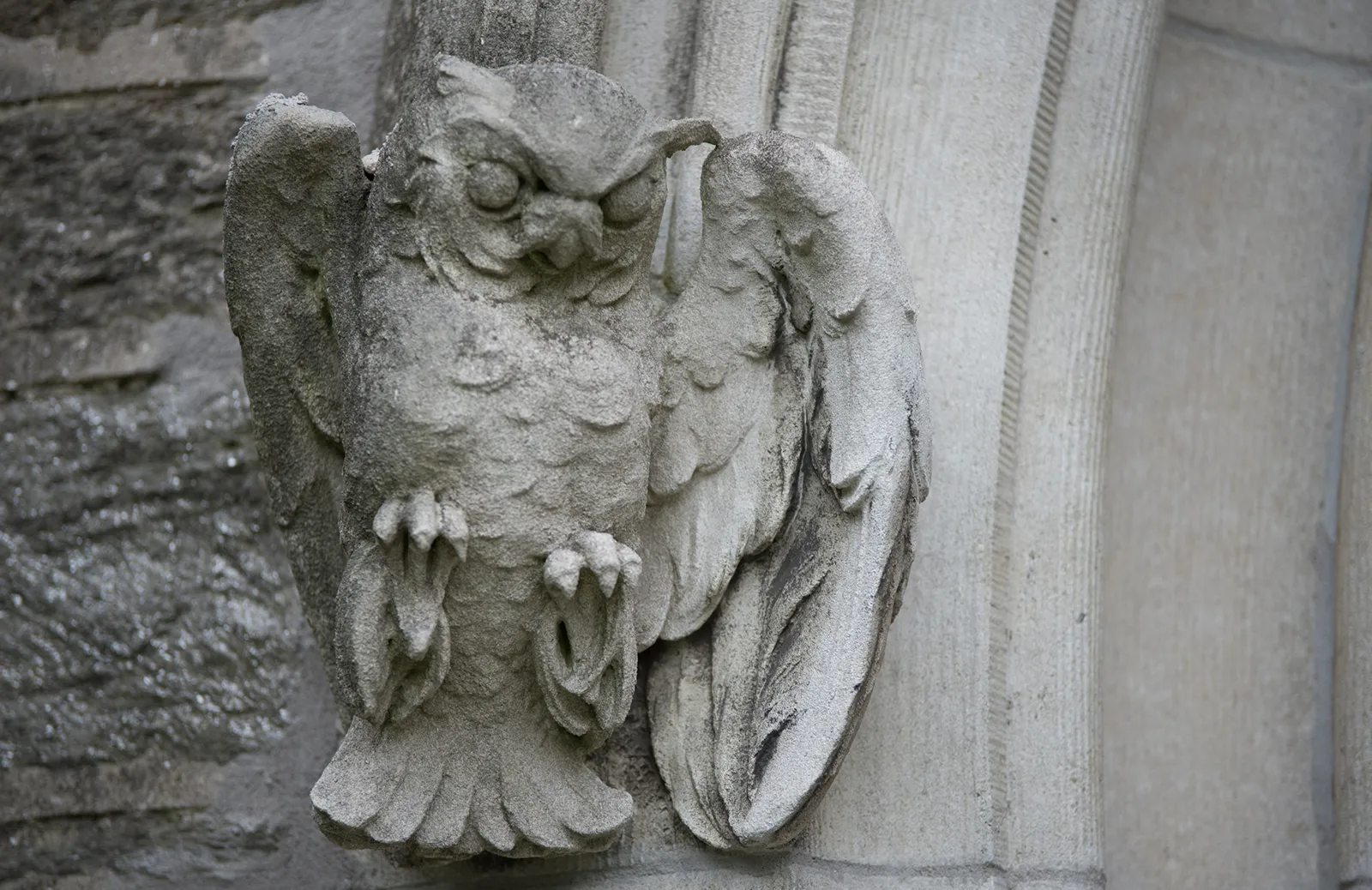 Event Image Placeholder - Default Image 12