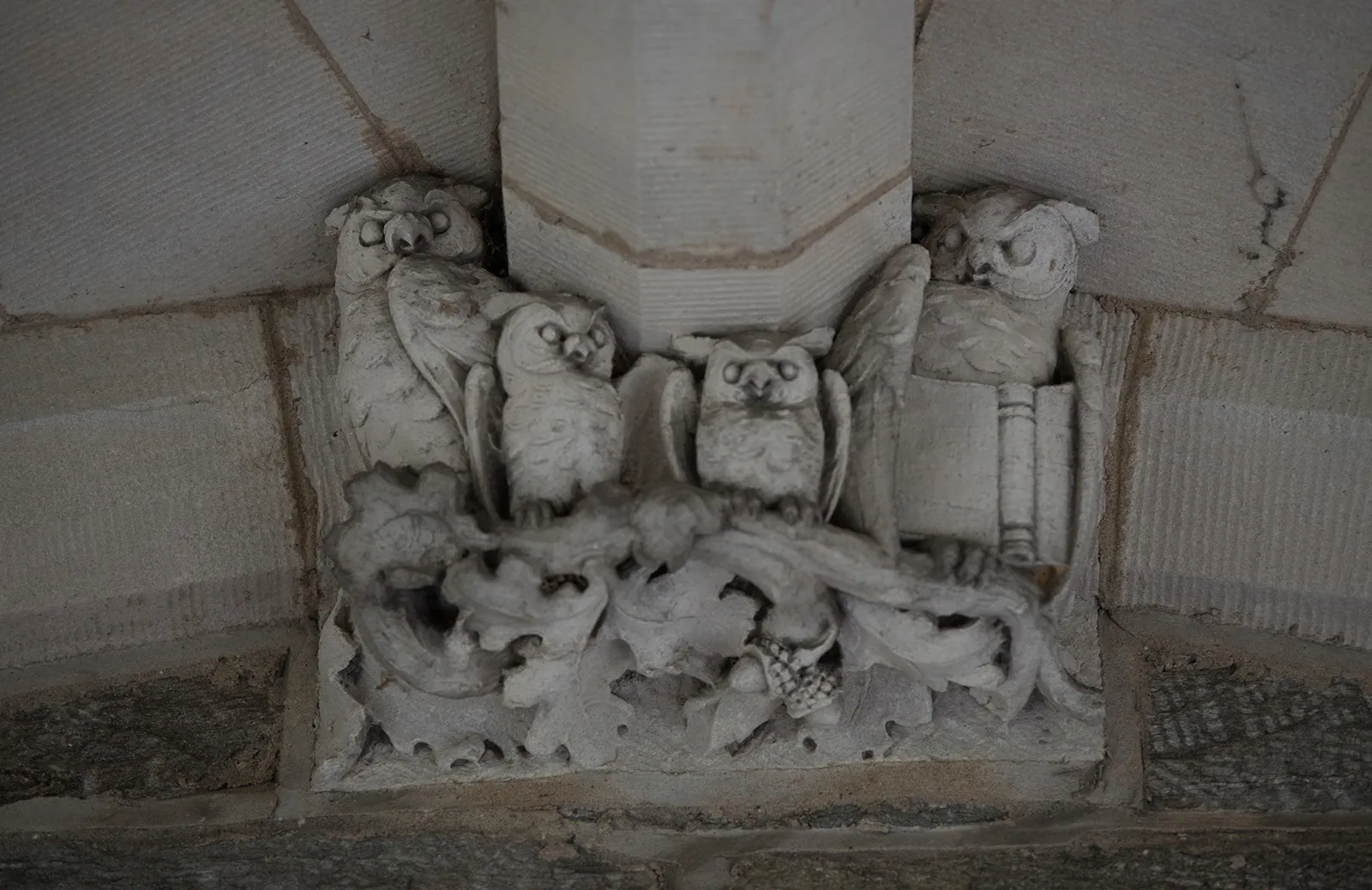 Event Image Placeholder - Default Image 16