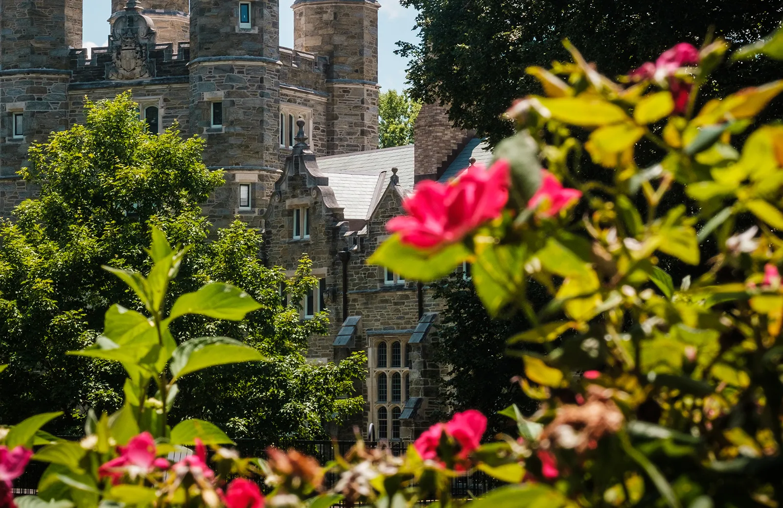 Event Image Placeholder - Default Image 20