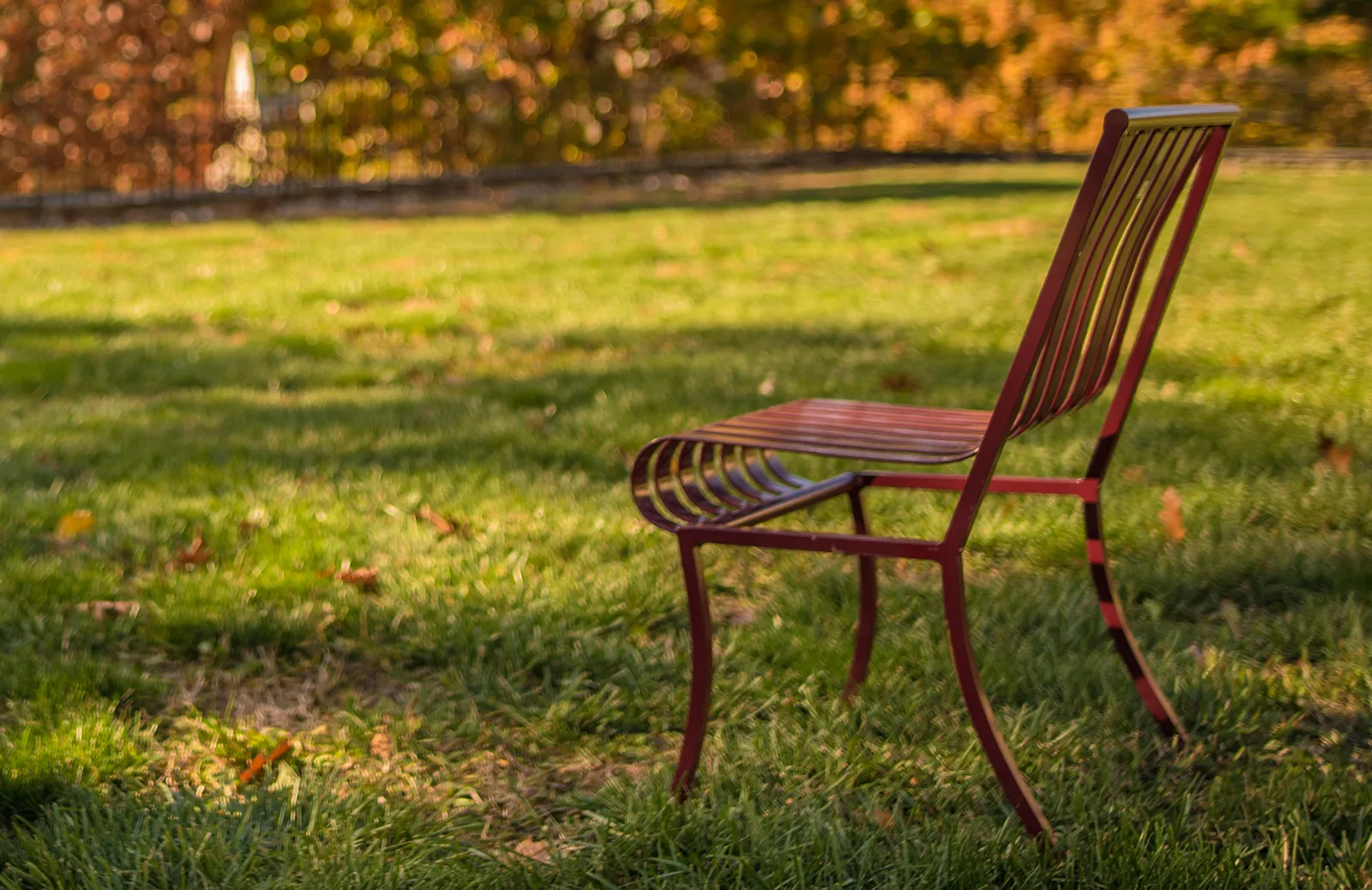 Event Image Placeholder - Default Image 41