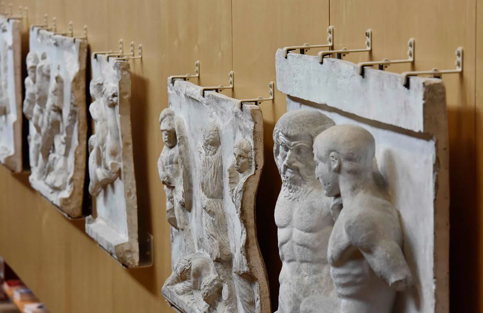 Event Image Placeholder - Default Image 50