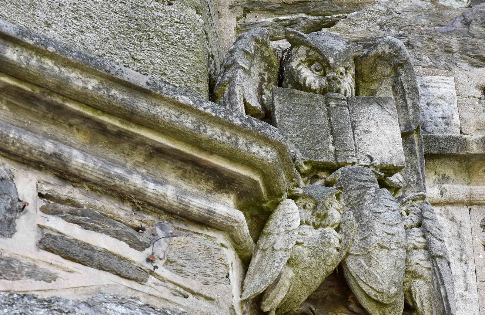 Event Image Placeholder - Default Image 127